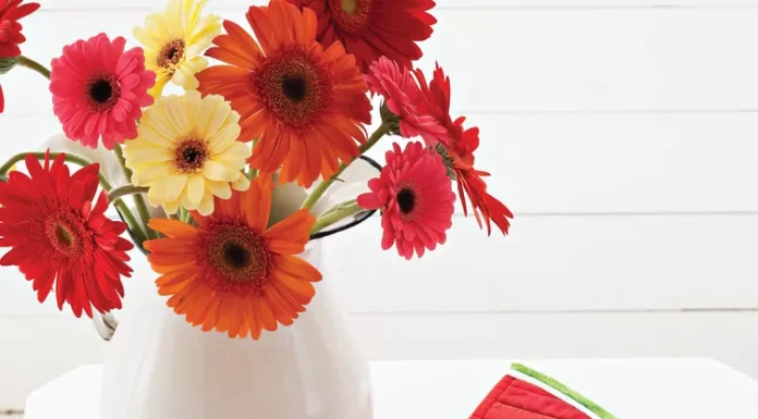 Create a Refreshing Vibe with the Summertime Table Runner