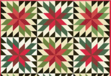Embrace the Festive Spirit with the Poinsettia Quilt!