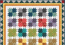 Unleashing Joy with the Caboodle Basics Quilt