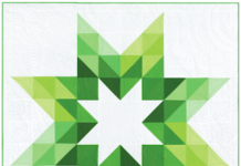 Transformative Beauty with Just Kisses: A Quilting Journey