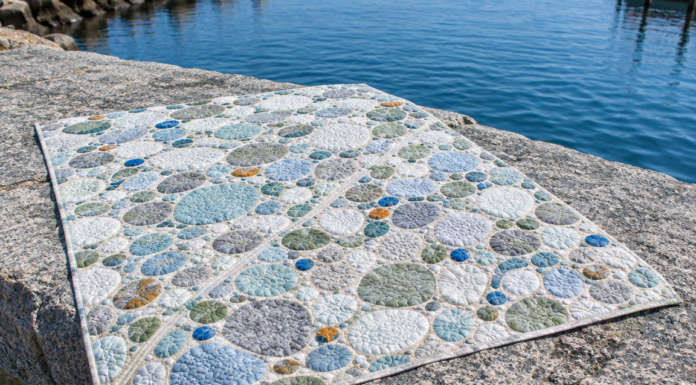 Tumbled Glass: a Shingle-Beach Quilt with Pebble Curves